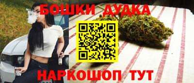 индика Мариинск