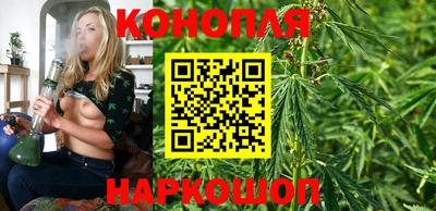 индика Мариинск