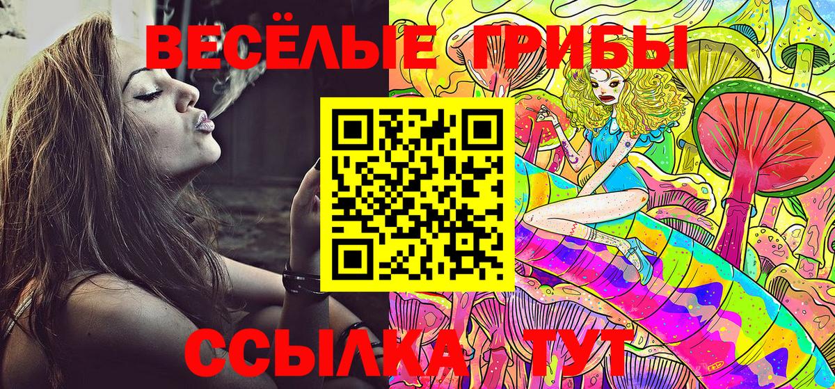 Галлюциногенные грибы MAGIC MUSHROOMS Озёры